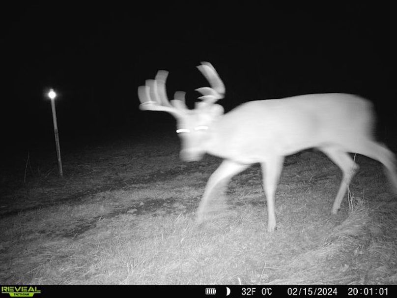 860322064829176-30-4-02152024200100-V-W1001971