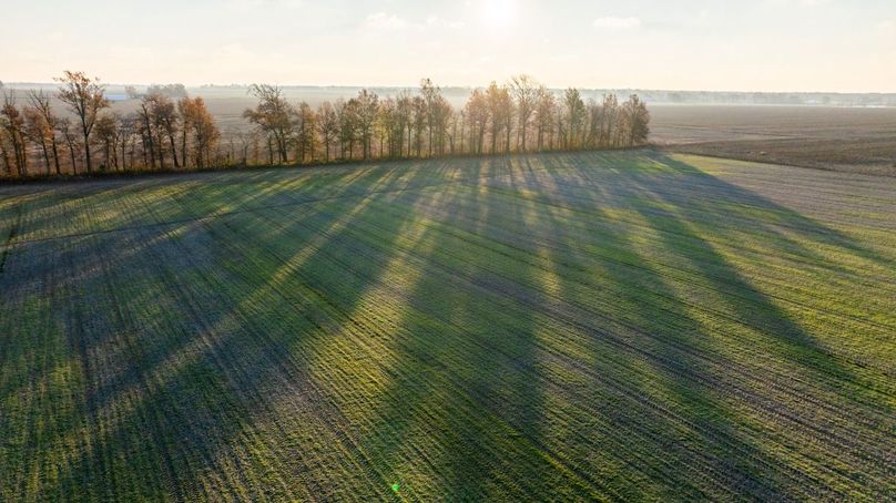 Copy of DJI_20241129074913_0020_D