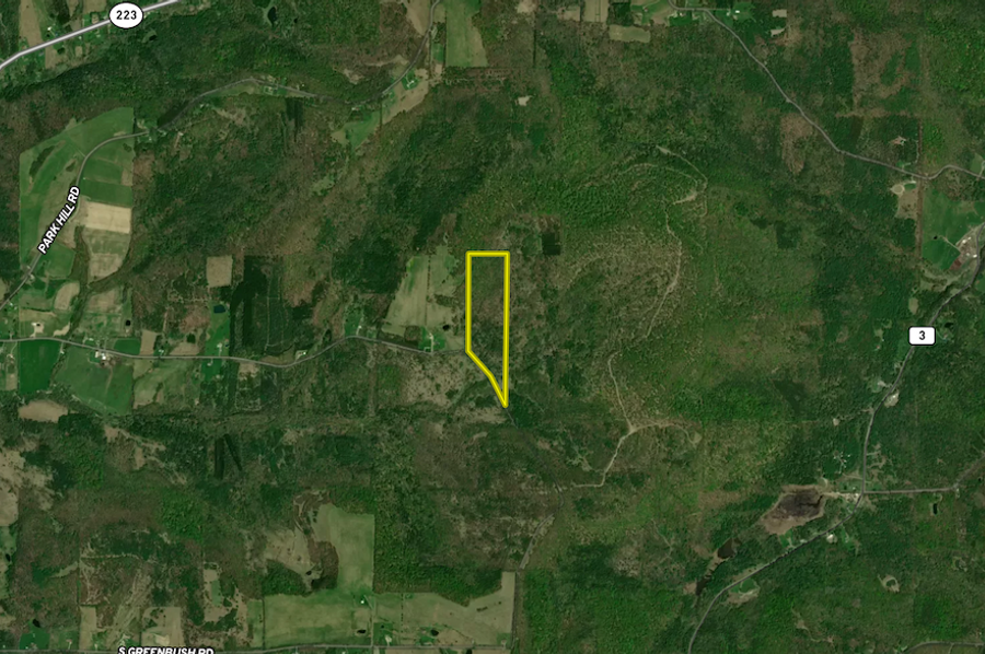 Chemung_31.822_Gutchess_Lumber_Landid_6