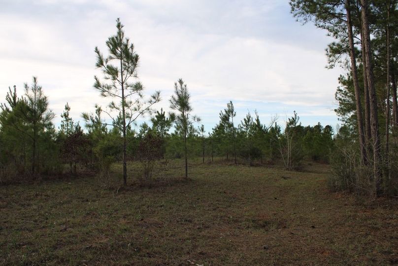 87D5F3B6-E6A7-425C-93D1-C8889281DCFB_1_105_c