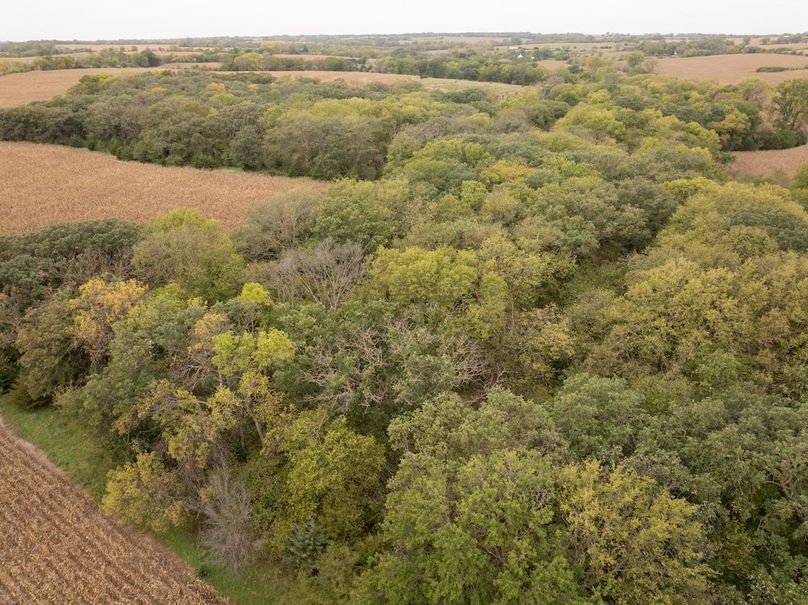 DJI_20251011102137_0146_D