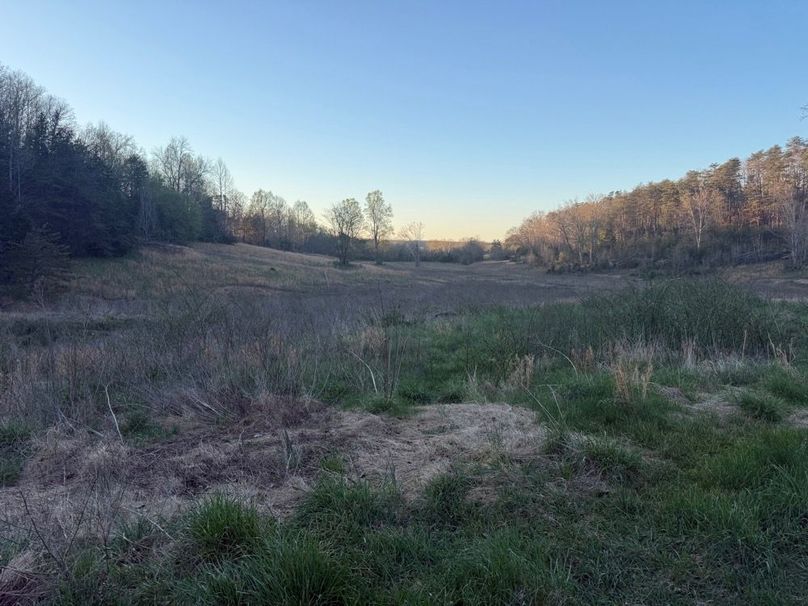 020 open meadow area in the east area of the property