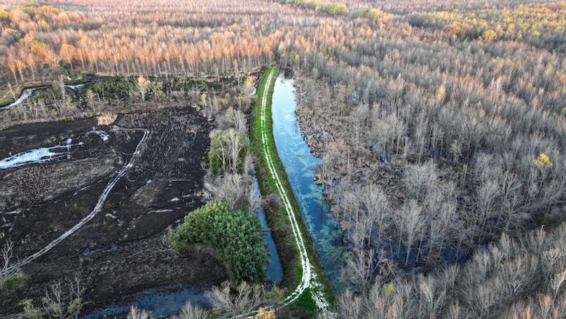 Panola 164.7 SPI Land Ventures-43