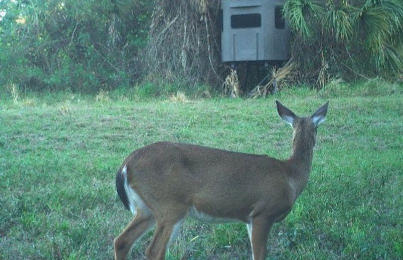 9E2E8C92-F3BA-44D7-81B0-CCD06F954B0A