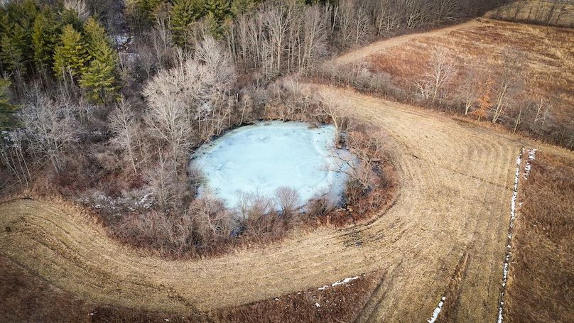 Seneca_24.54_Hohwald_Photos_26