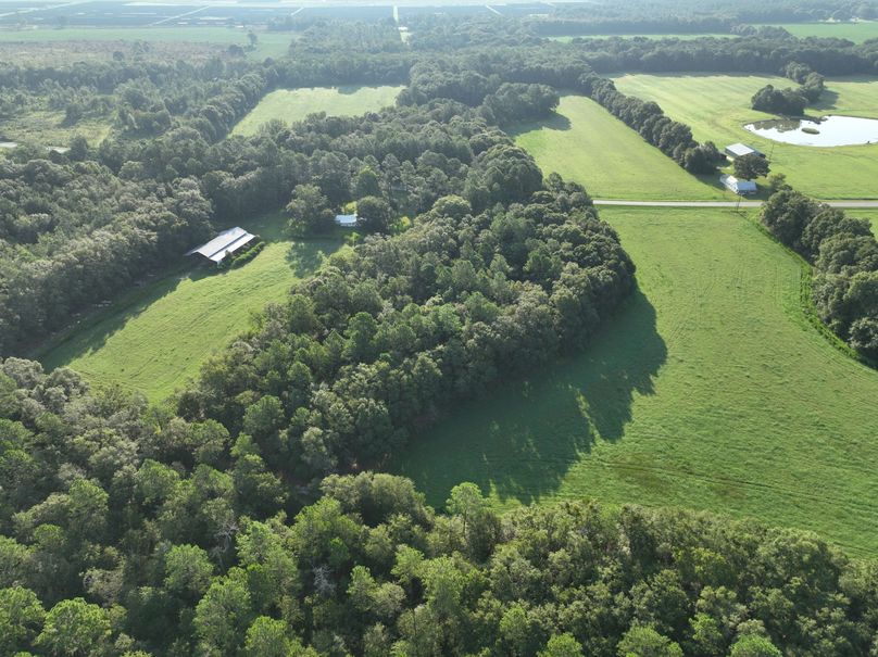 dji_fly_20230813_083856_535_1691930566281_photo