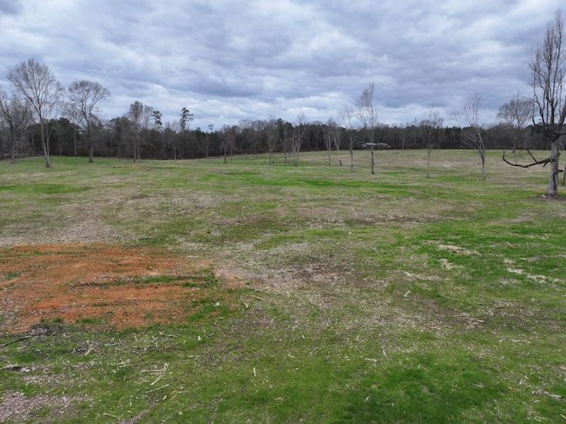 Copy of Copy of dji_fly_20260217_143810_0153_1771436904617_photo