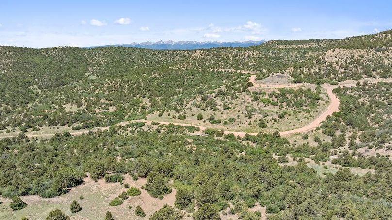 DJI_20250611125204_0183_D