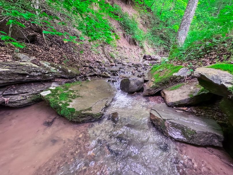 Tyler, WV 313.87 AC -48