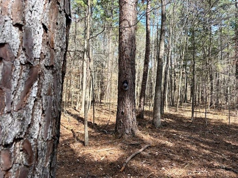 029E06E0-9034-428F-AADF-8A3D3F10B5FC_1_105_c