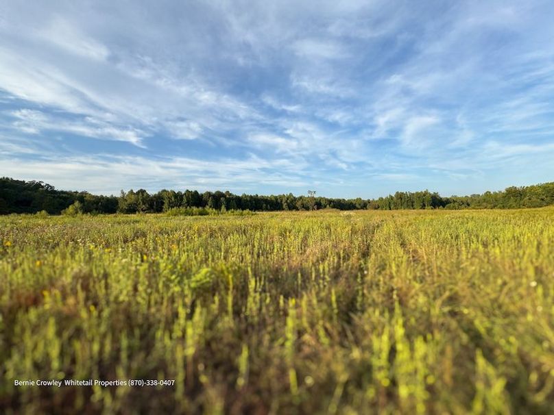 DeSoto 329 Prewett (Thompson) -10