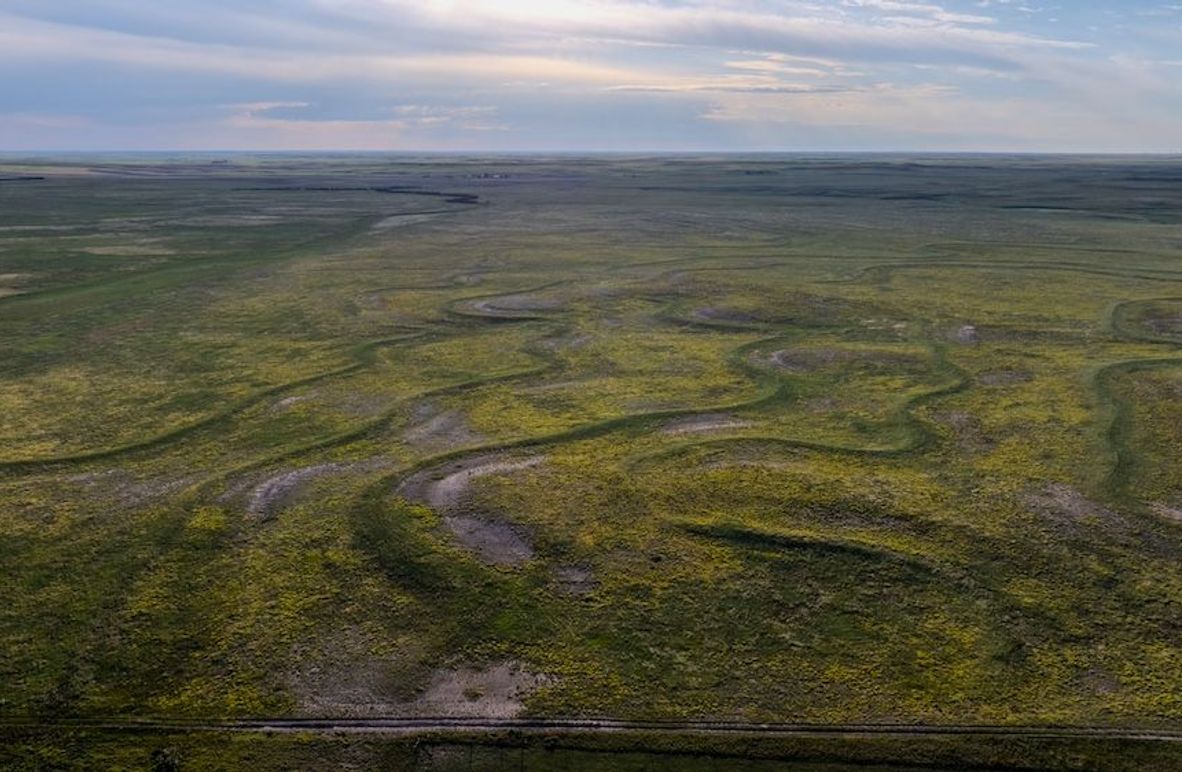 DJI_20250803072143_0025_D-HDR