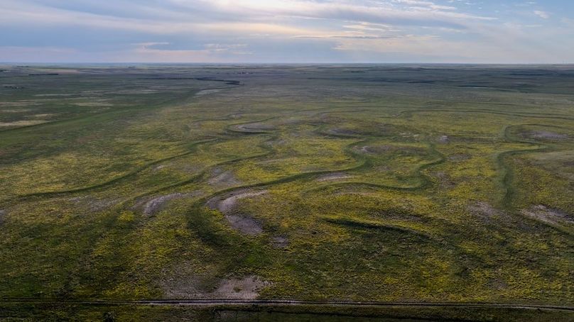 DJI_20250803072143_0025_D-HDR