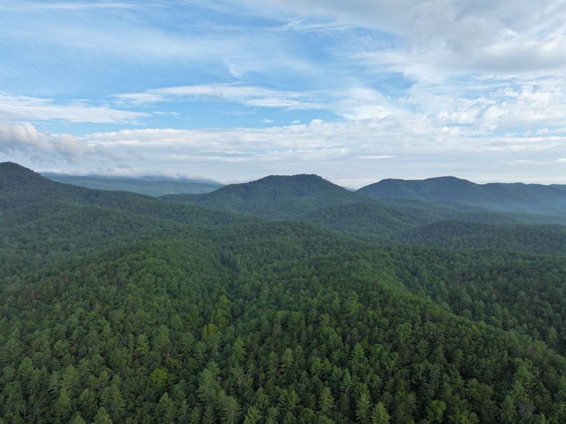 03_30.75_Alleghany_VA