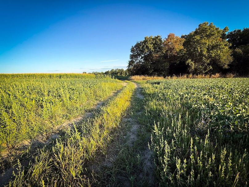 Copy of Wood Tract 1 Photo 10