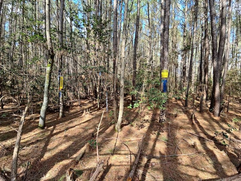 Romancoke_QAnnes_PIC_06