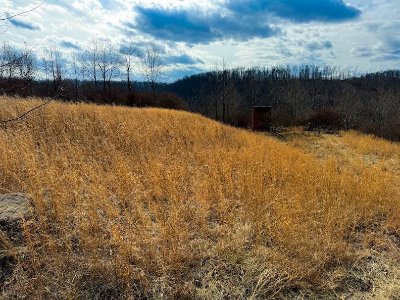 Doddridge, WV 79.08 AC Adams-41