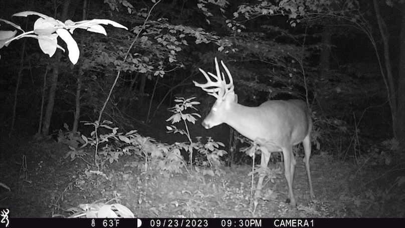 trail cam14