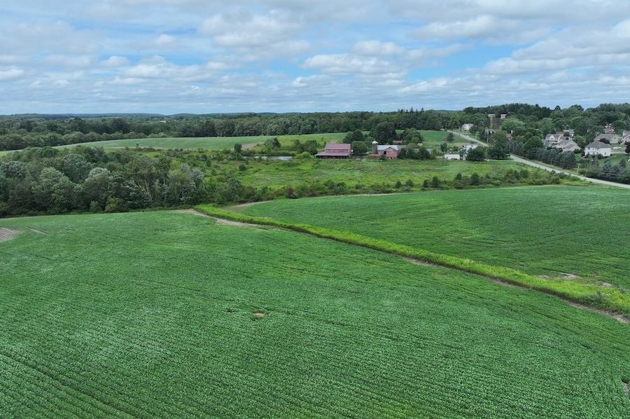 DJI_20240809014622_0105_D