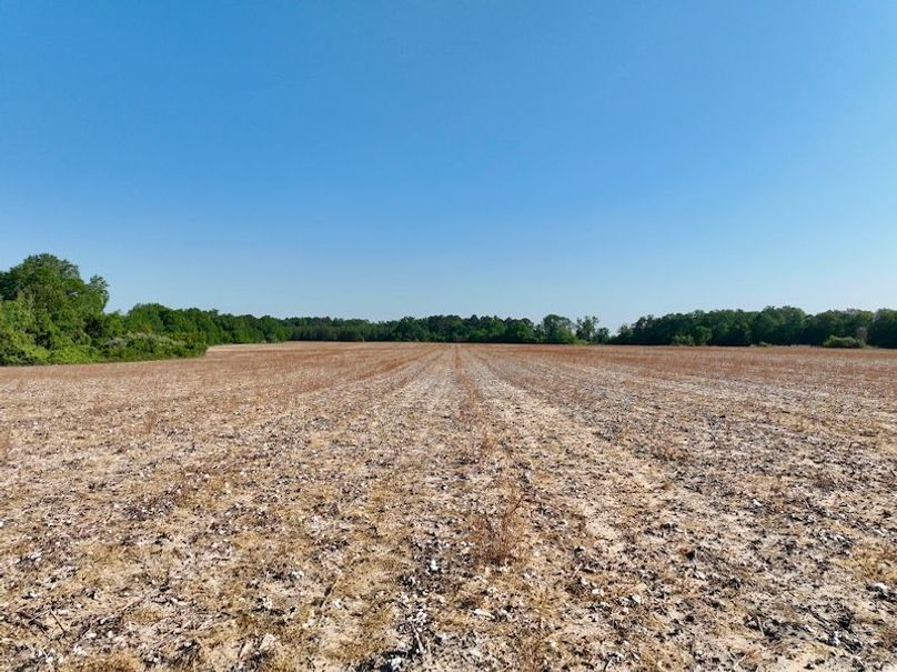 dji_fly_20260424_094506_557_1777039434240_photo