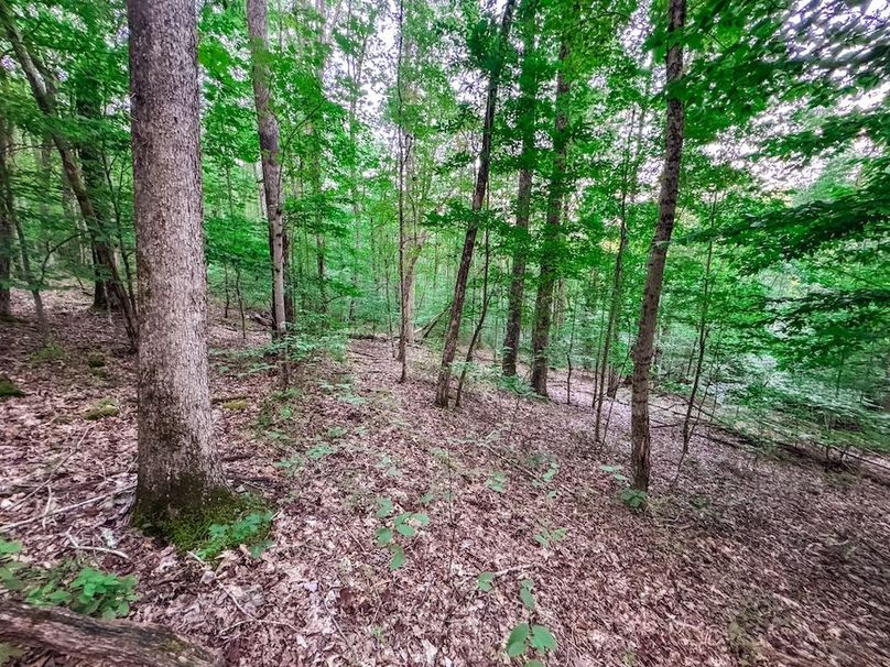 Webster, WV 42 AC Barger-17