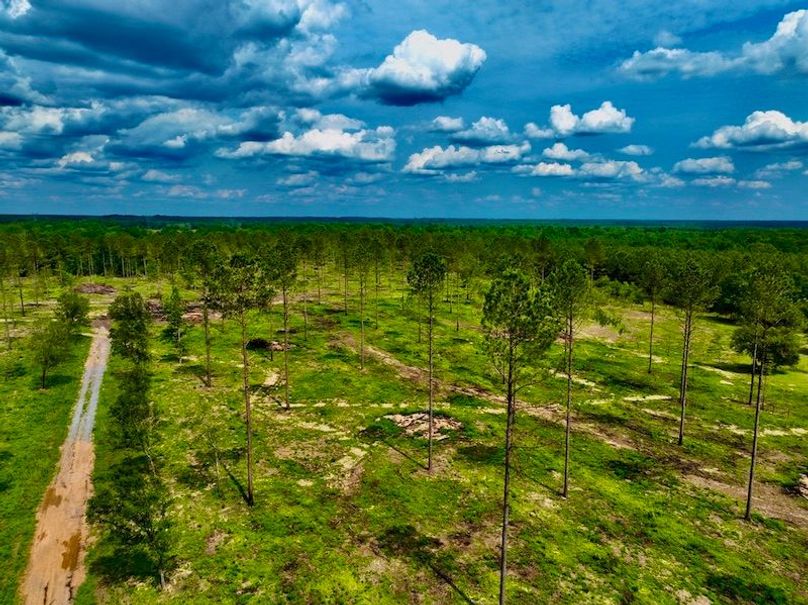 B2A84A46-EED2-46D0-9B48-26ADE21C97BD_1_105_c