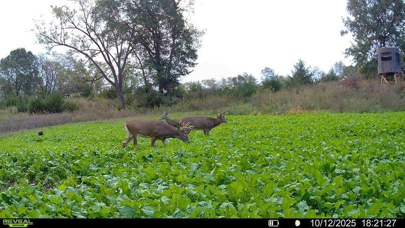 016578004309230-29-2-10122025190902-HD-SYFW03120