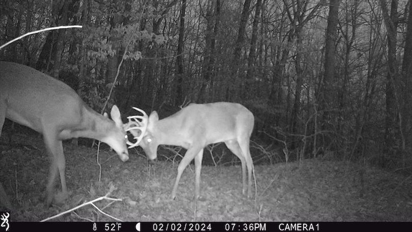 trail cam23