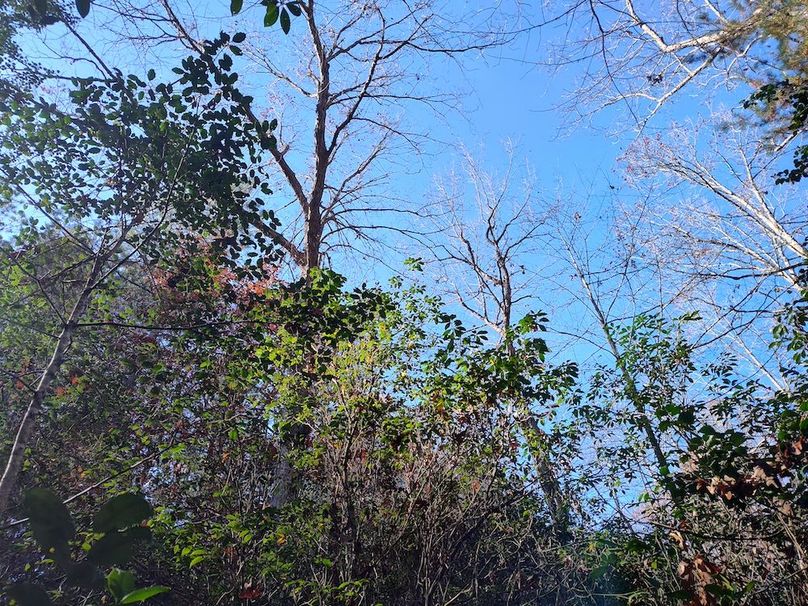 IMG_20251124_114918232_HDR