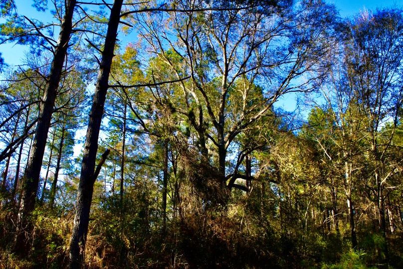 BDED97AF-B323-4E41-82B0-53A8C64495A6_1_201_a-2