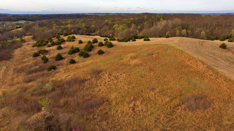 DJI_20250331081220_0635_D