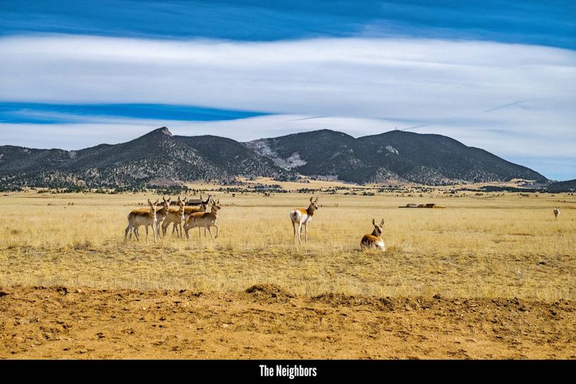 Park CO 5 MWV Jackson rd - 01 - 31