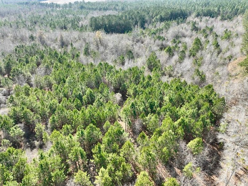 dji_fly_20260213_144328_340_1771012088465_photo