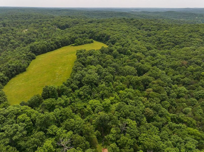 DJI_20250602135257_0395_D