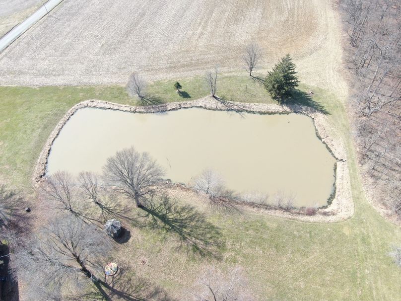 DJI_0384