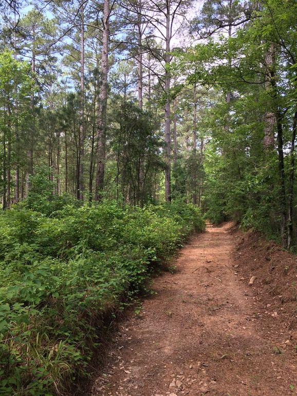 92D4FDBF-1B24-40E2-A92F-5DD0CFF829B2_1_105_c