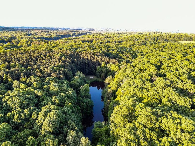 DJI_0561