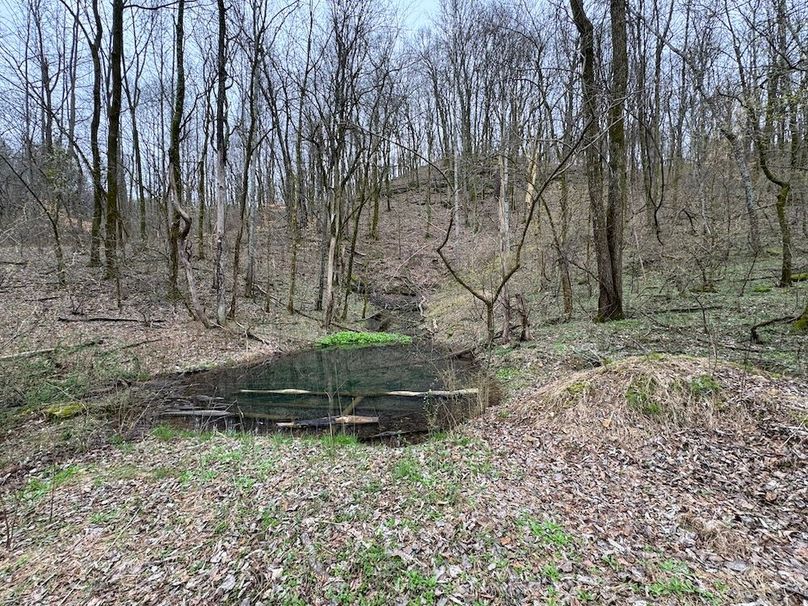 Maury Co TN 102 Bowers Pic6