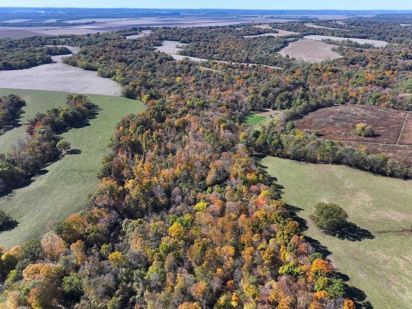 Copy of DJI_20251031130543_0776_D