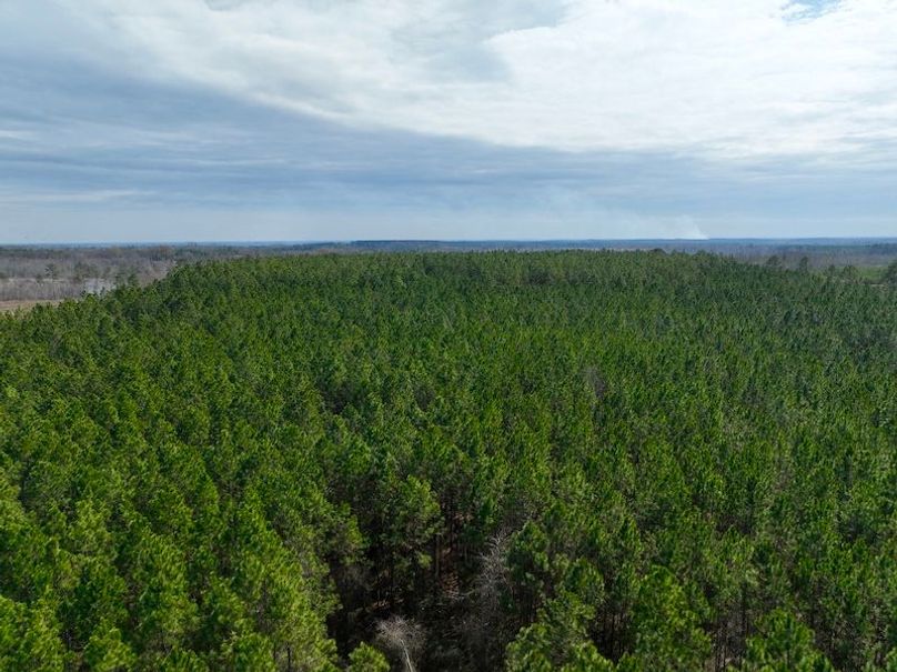 dji_fly_20240227_124928_146_1709056255385_photo