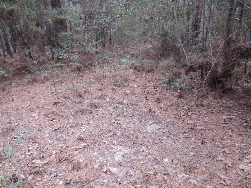 54170503-2C82-4A25-BFF7-4BF208D42A2F