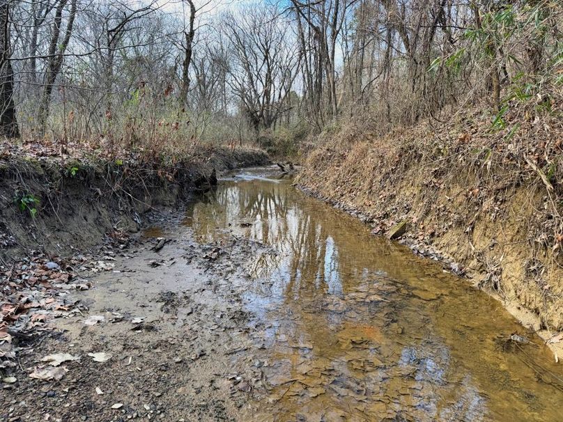 009 running waters of Smokey Creek-2