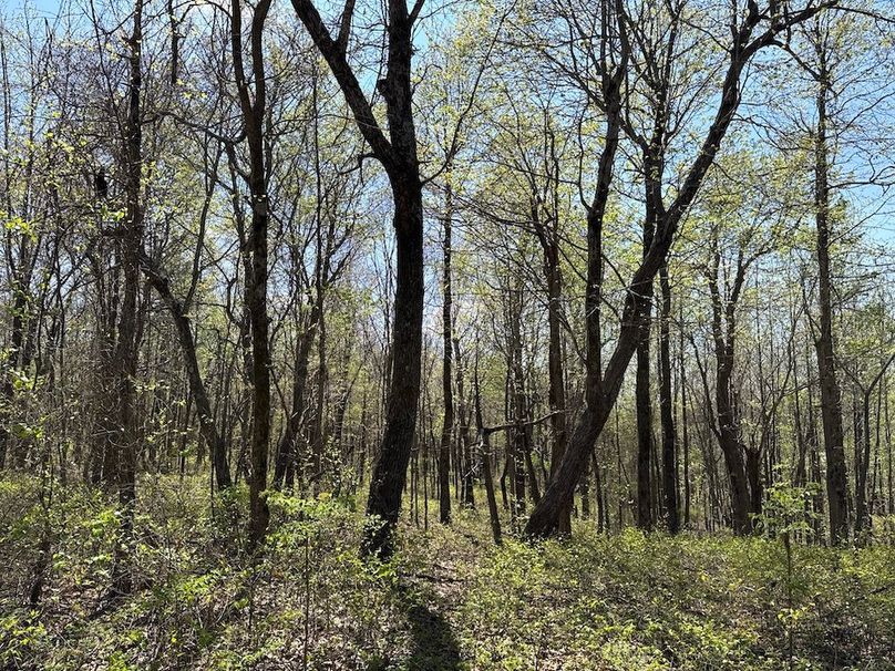 DJI_20260408_135234_277