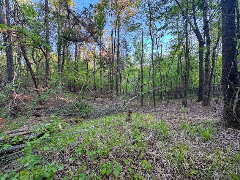 Tallahatchie 44 Newman (Crowden) Wide-52