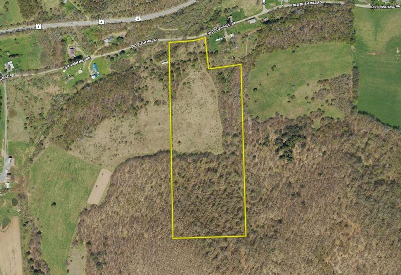 Screen Shot 2024-02-15 at 11.23.51 AM