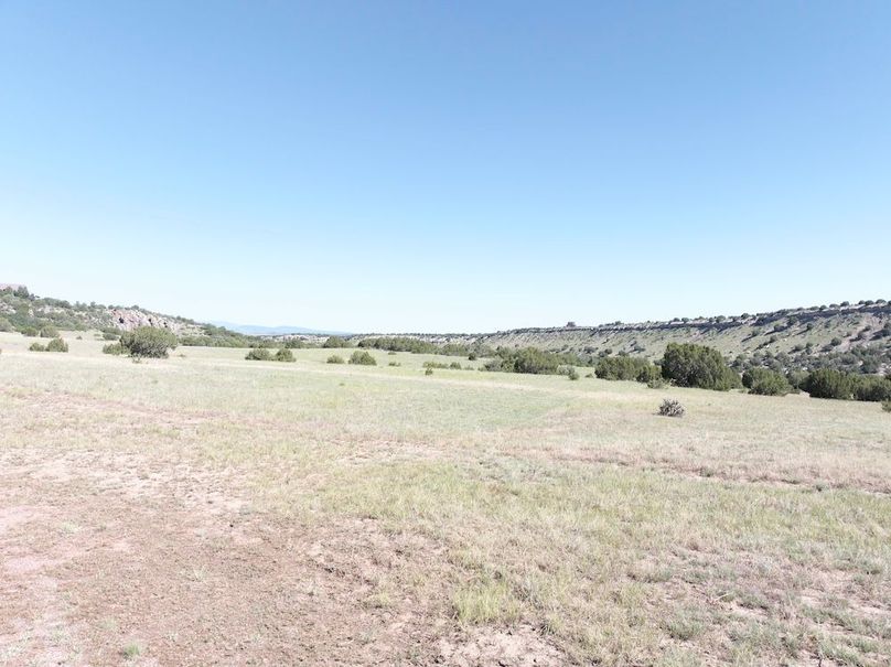 DJI_20250619093153_0005_D