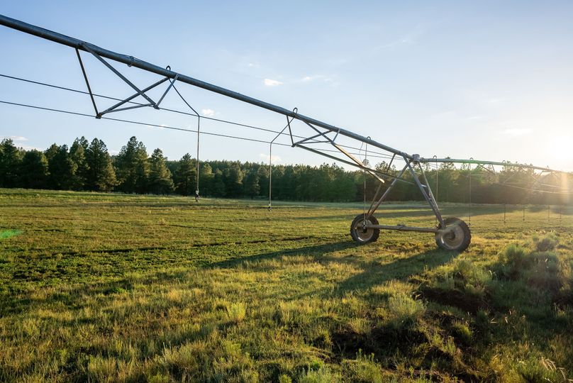 Cibola NM 13,053--101