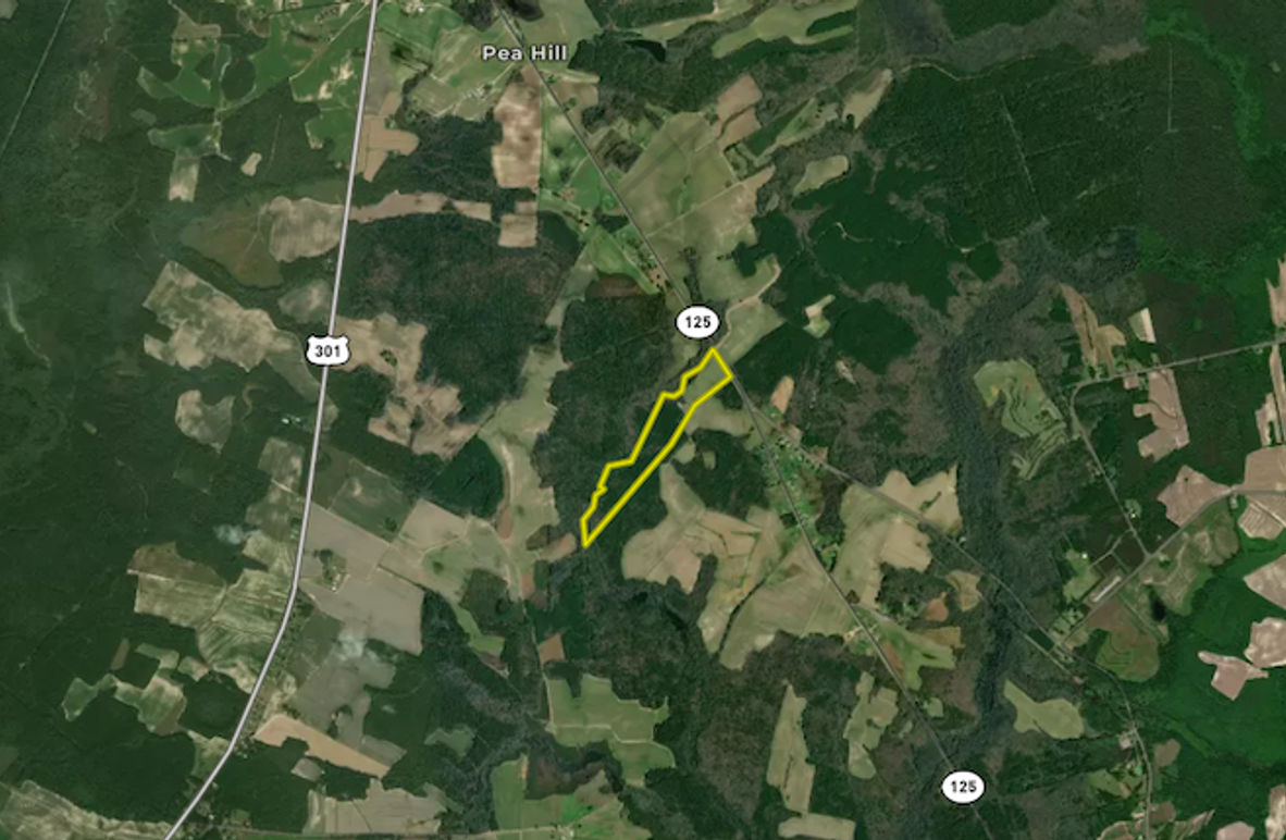 Screenshot 2025-04-01 083316