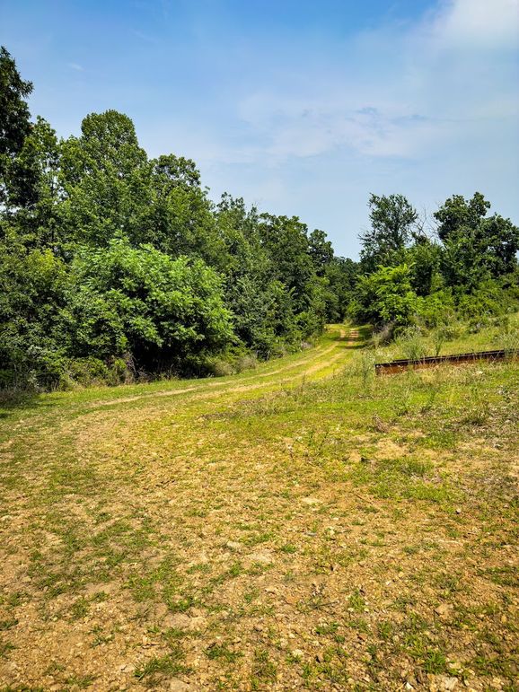 New Albin 8_8 edits-03