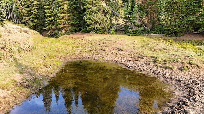 DJI_20250726182348_0176_D